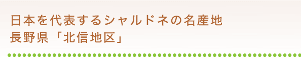 日本を代表するシャルドネの名産地長野県「北信地区」
